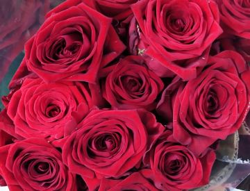 Заглянем в отдел срезанных цветов?